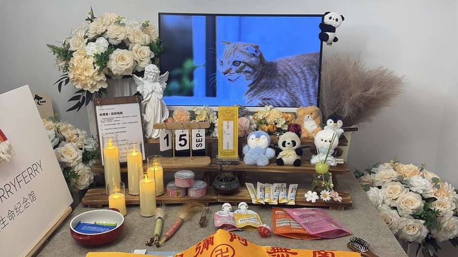芜湖宠物单独火化